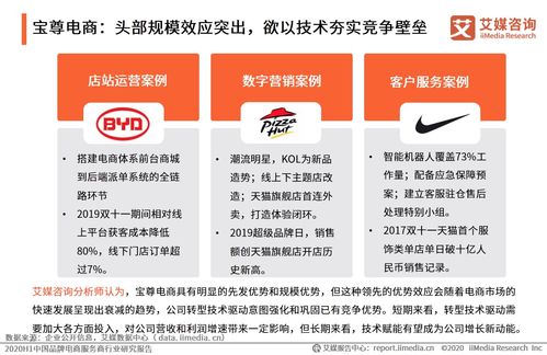 艾媒咨詢2020上半年中國品牌電商服務(wù)商行業(yè)研究報(bào)告 信息咨詢服務(wù)的價(jià)值與趨勢(shì)